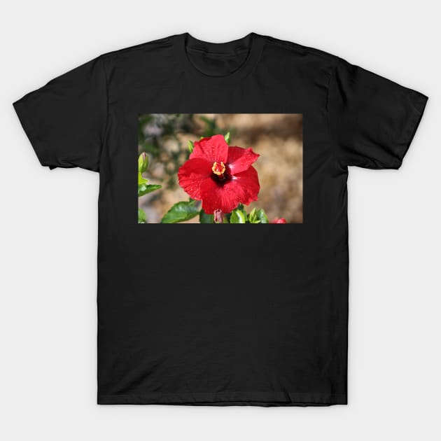 Red Hibiscus After the Rain T-Shirt by ButterflyInTheAttic